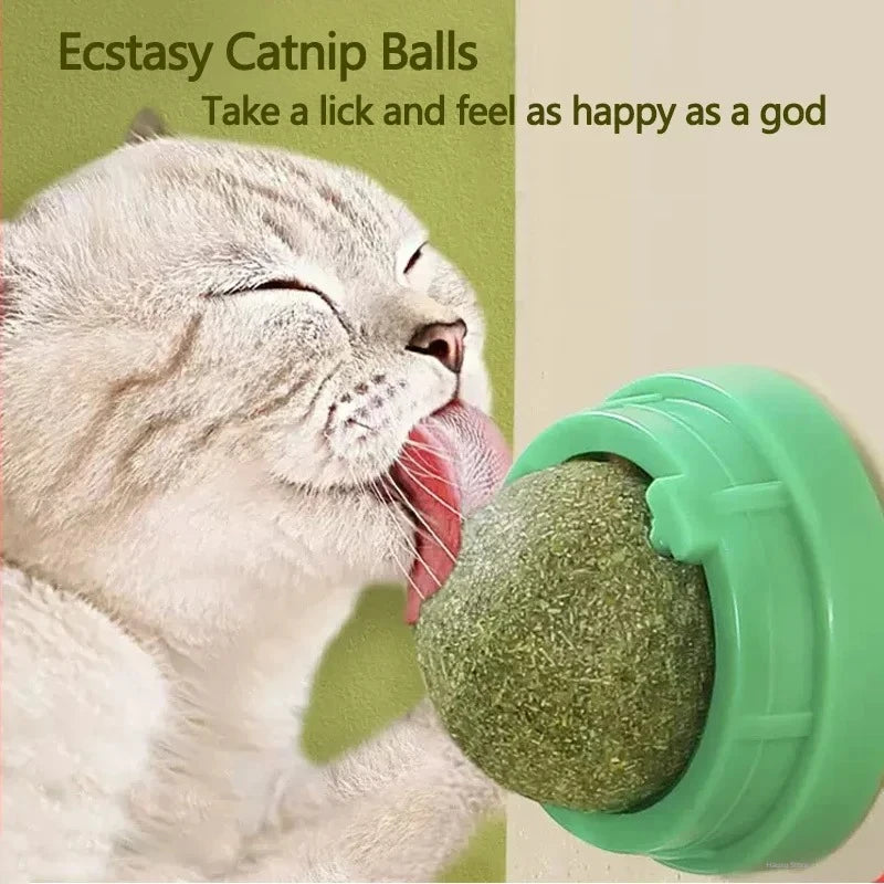 Pawsome Natural Catnip